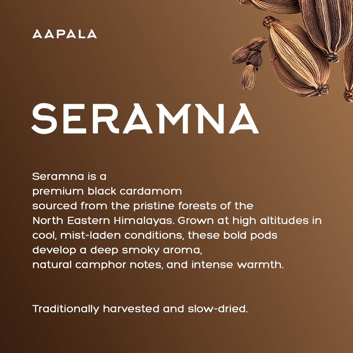 Black Cardamom by Aapala - Image 3